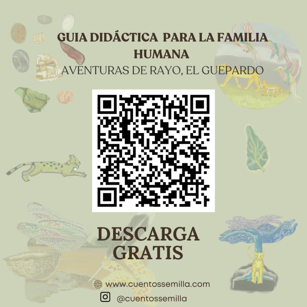 Qr Guía Didáctica Aventuras De Rayo